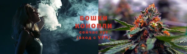 молекула духа Ростов