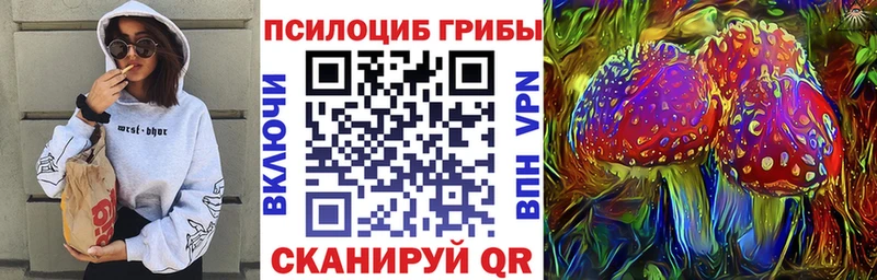 Галлюциногенные грибы Cubensis как найти Агидель
